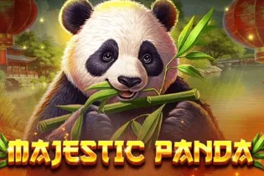 Interface multi-bet sofabet88 menampilkan opsi taruhan